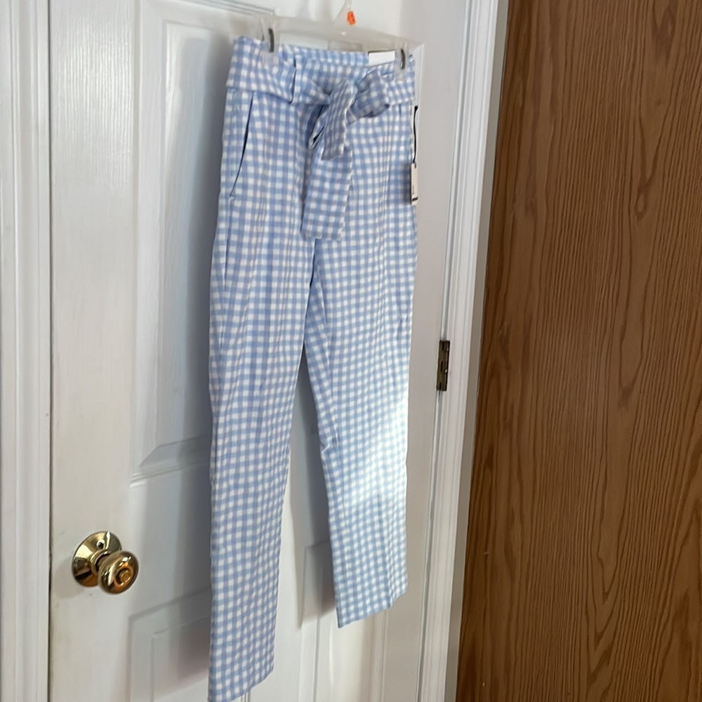 Jules & Leopold Blue Gingham Pants - Picture 3 of 9